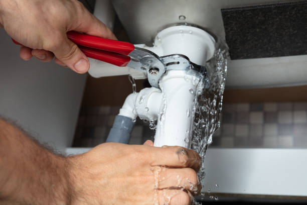 Best Professional water damage repair  in Hightstown, NJ