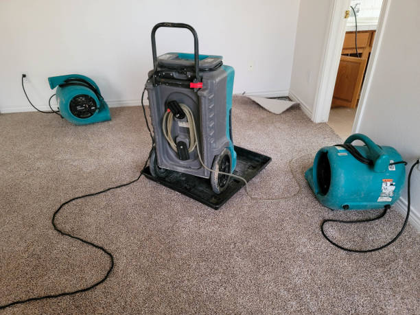 Carpet water damage restoration in Hightstown, NJ