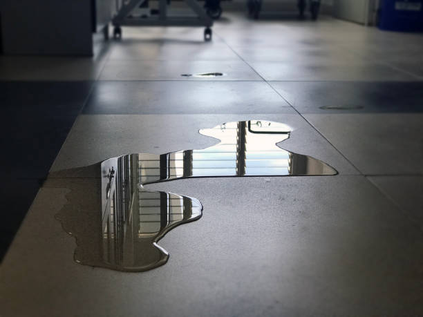 Best Carpet water damage restoration  in Hightstown, NJ