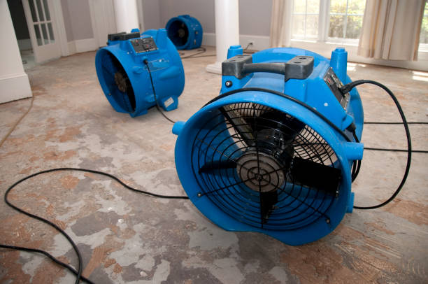 Trusted Hightstown, NJ Water damage restoration Experts